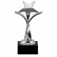 Twisting Star Silver Award