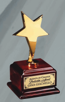 Metal Star Award