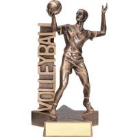 Signboard Male Volleyball Trophy