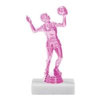 Pink Trophy  Series - Volleyball